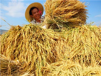 農業(yè)部發(fā)布《農業(yè)植物品種命名規(guī)定》 農業(yè)部發(fā)布《農業(yè)植物品種命名規(guī)定》